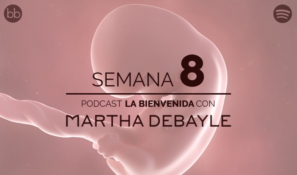 La bienvenida: semana 8 del embarazo