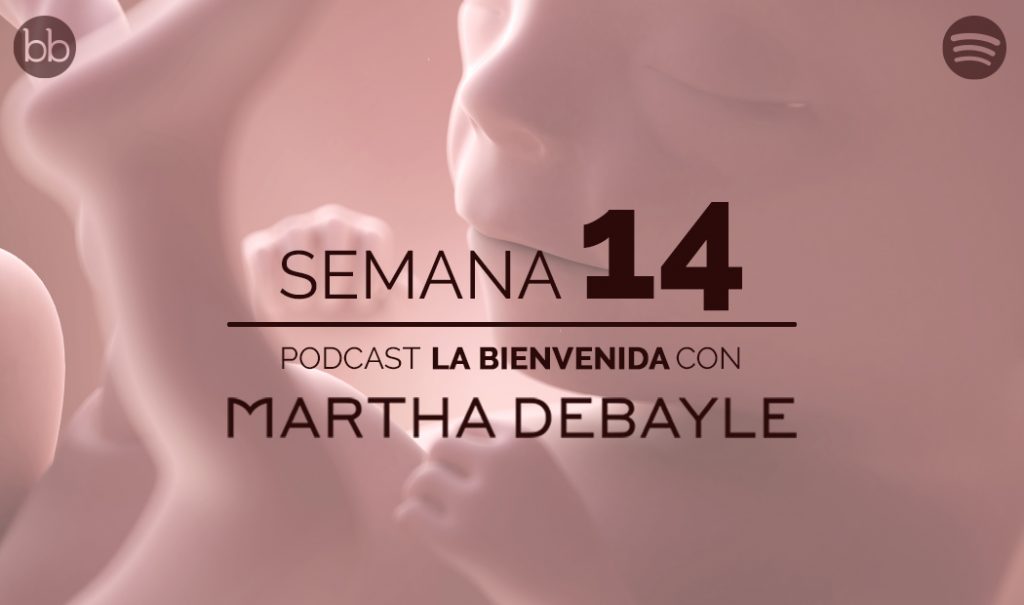 La bienvenida: semana 14 del embarazo