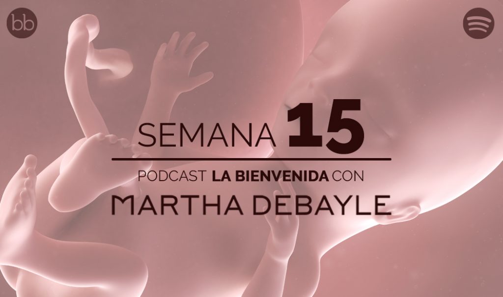 La bienvenida: semana 15 del embarazo