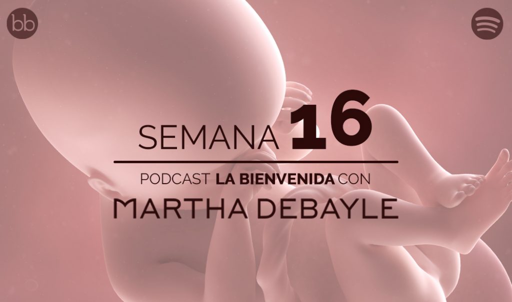 La bienvenida: semana 16 del embarazo