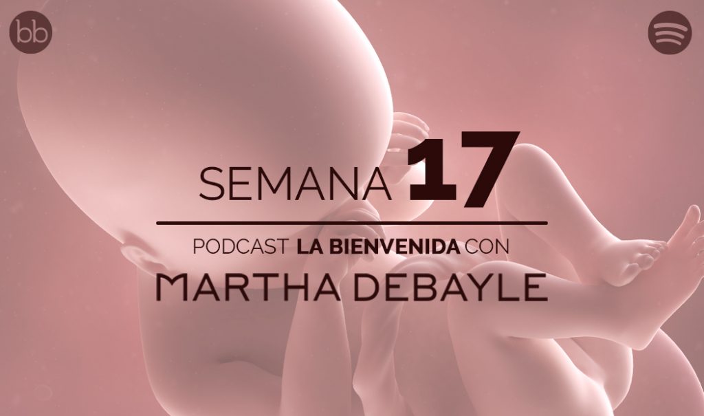 La bienvenida: semana 17 del embarazo