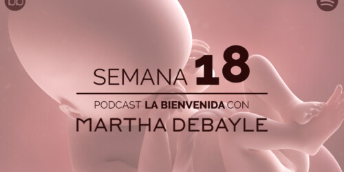 La bienvenida: semana 18 del embarazo