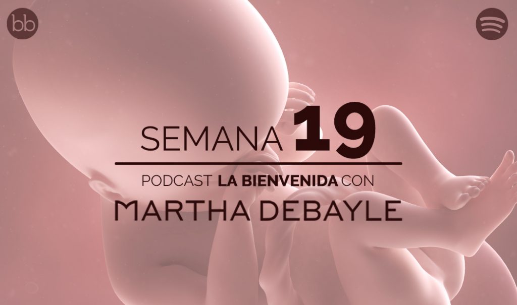 La bienvenida: semana 19 del embarazo