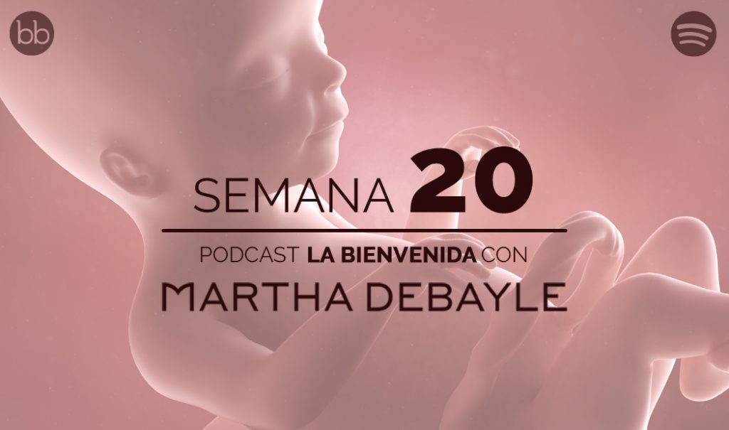 La bienvenida: semana 20 del embarazo