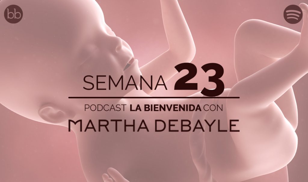 La bienvenida: semana 23 del embarazo