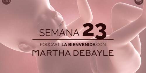 La bienvenida: semana 23 del embarazo