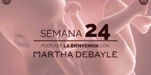 La bienvenida: semana 24 del embarazo