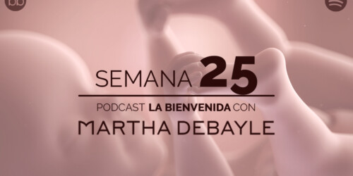 La bienvenida: semana 25 del embarazo