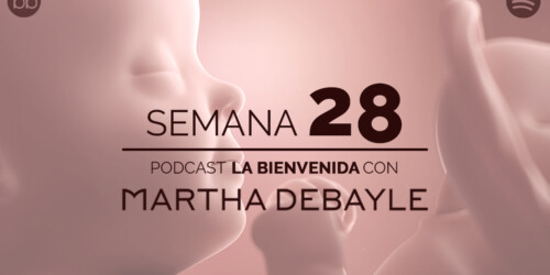 La bienvenida: semana 28 del embarazo