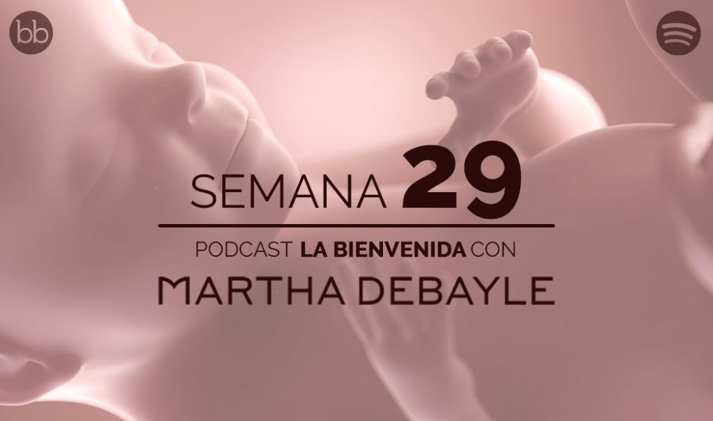 La bienvenida: semana 29 del embarazo