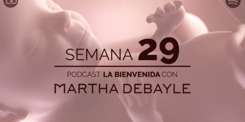 La bienvenida: semana 29 del embarazo