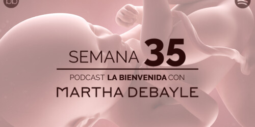 La bienvenida: semana 35 del embarazo