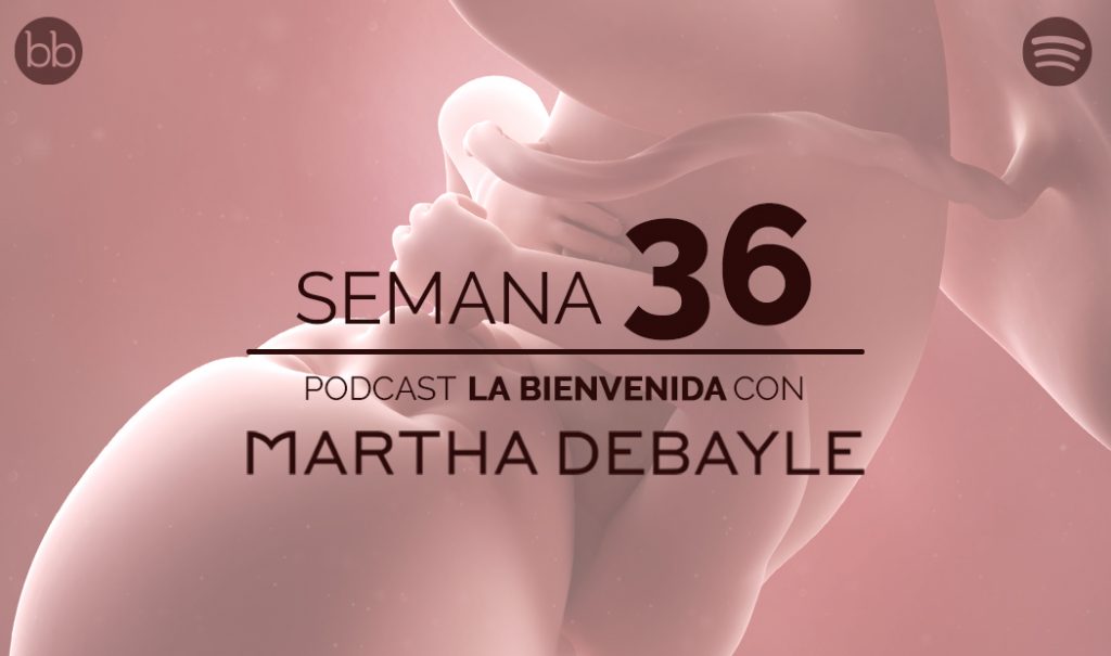 La bienvenida: semana 36 del embarazo