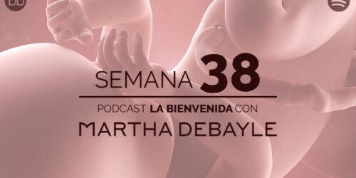 La bienvenida: semana 38 del embarazo