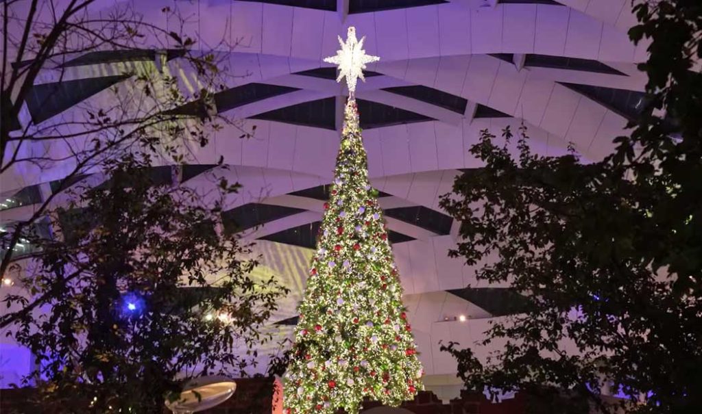 Lugares para ver los arbolitos de Navidad más asombrosos en CDMX