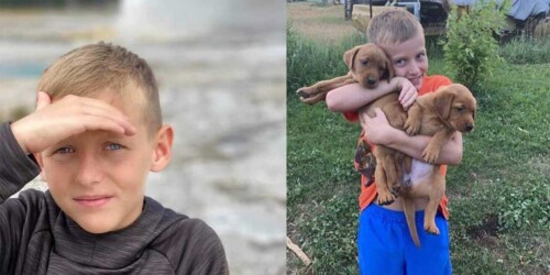 Drayke Hardman: La historia del niño donde el bullying cobró su vida