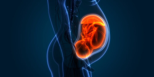 ¿Qué es la restricción del crecimiento fetal y cómo prevenirla?