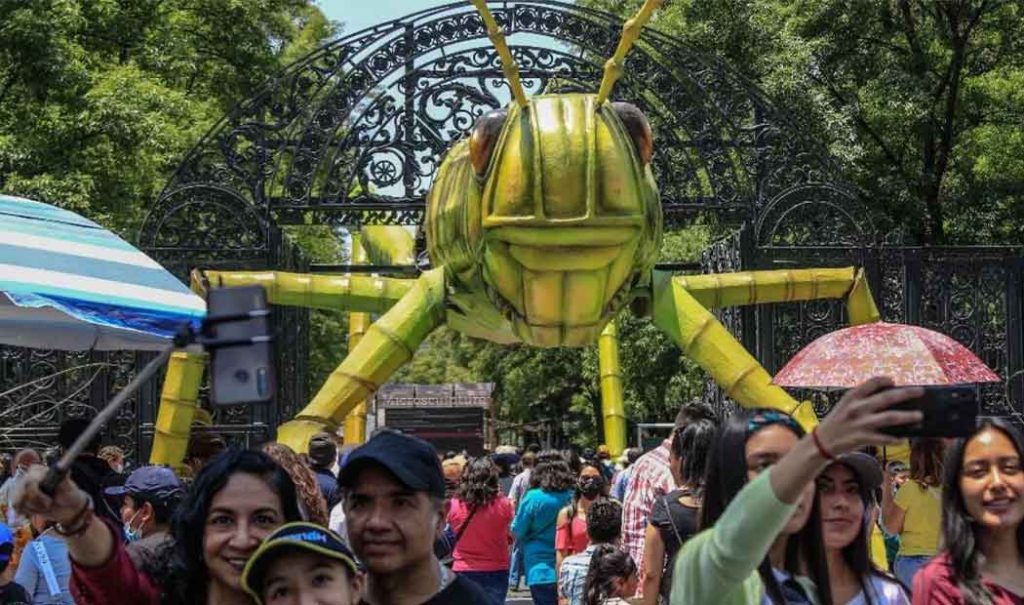 Insecta: el festival de insectos en el Bosque de Chapultepec se queda hasta julio 2022