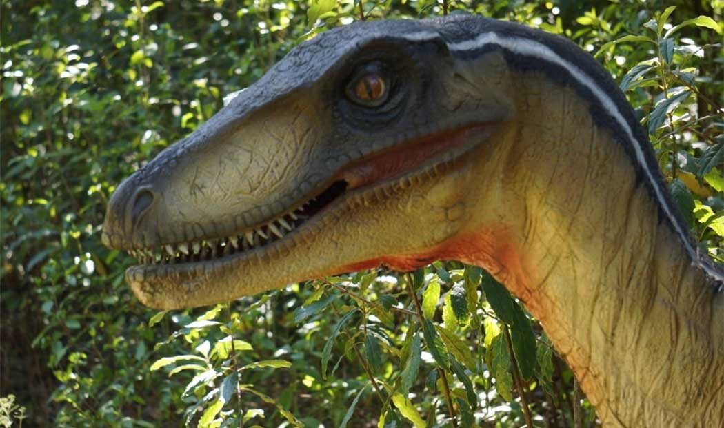 5 Lugares para ver dinosaurios en la CDMX