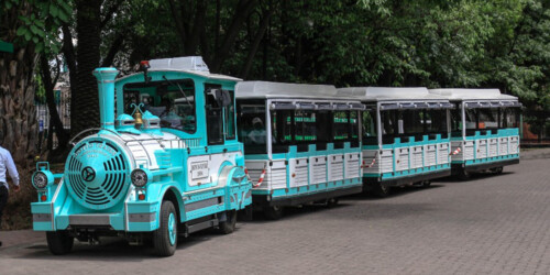 ¡Por fin regresó!: Lleva a tus hijos al trenecito del Bosque de Chapultepec