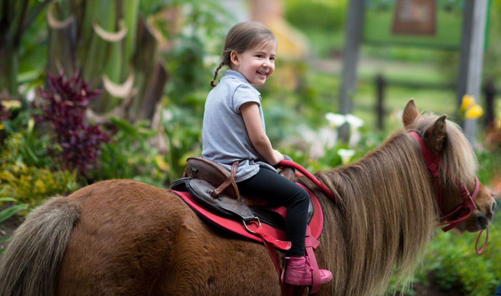 4 parques para montar a caballo en la CDMX