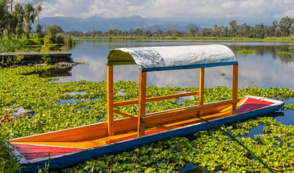 Lánzate a conocer el Parque Ecológico de Xochimilco