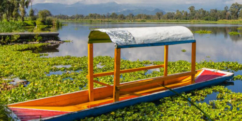 Lánzate a conocer el Parque Ecológico de Xochimilco
