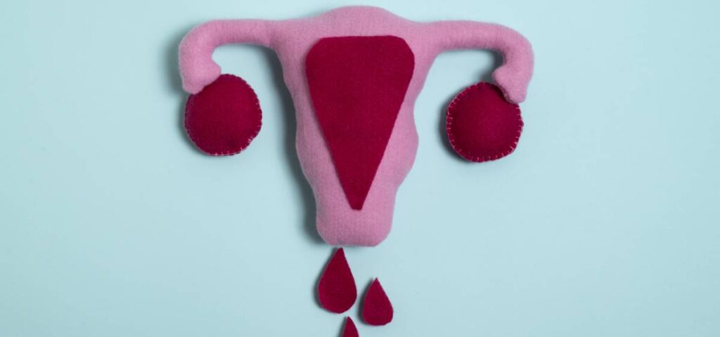 Sexo durante la menstruación ¿me puedo embarazar?