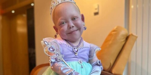 Murió Bella Brave y su mamá la despide con este video