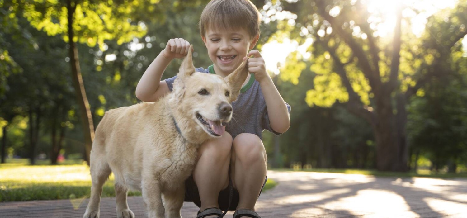 dia del perro