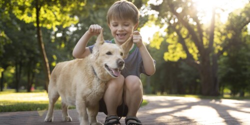 Podcast MASCOTAS SOS para entender a tu perro
