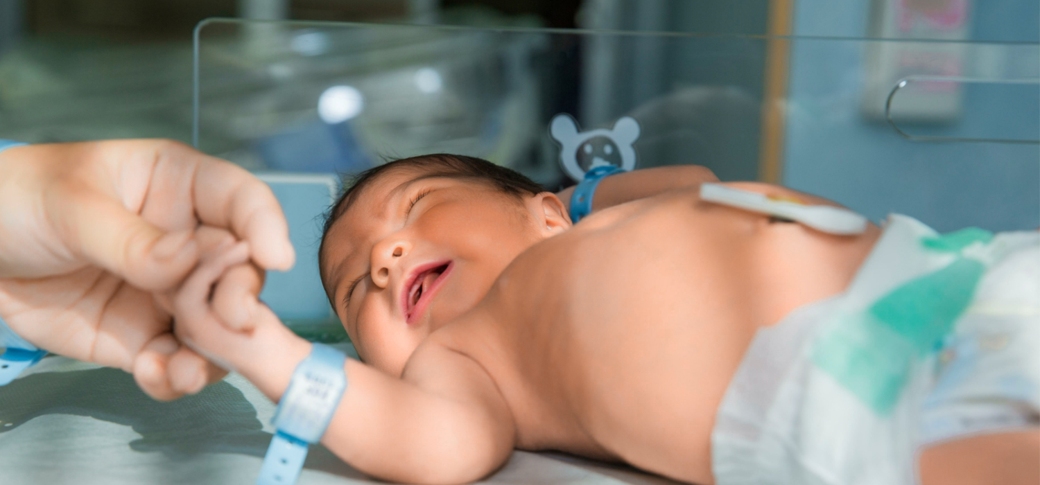 cordón umbilical