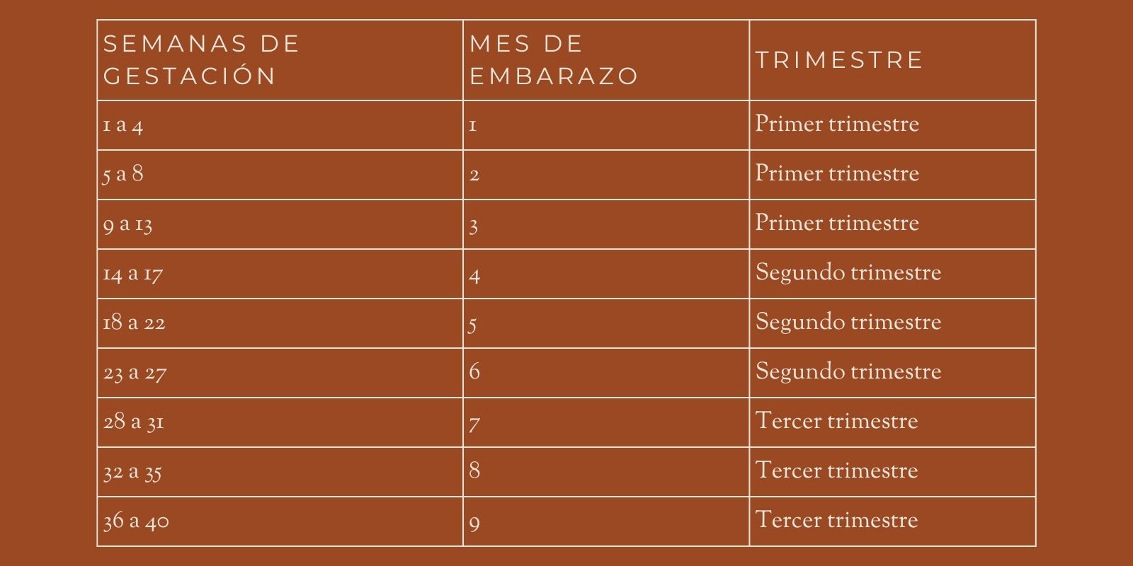 CUNA: Equivalencia entre semanas y meses de embarazo