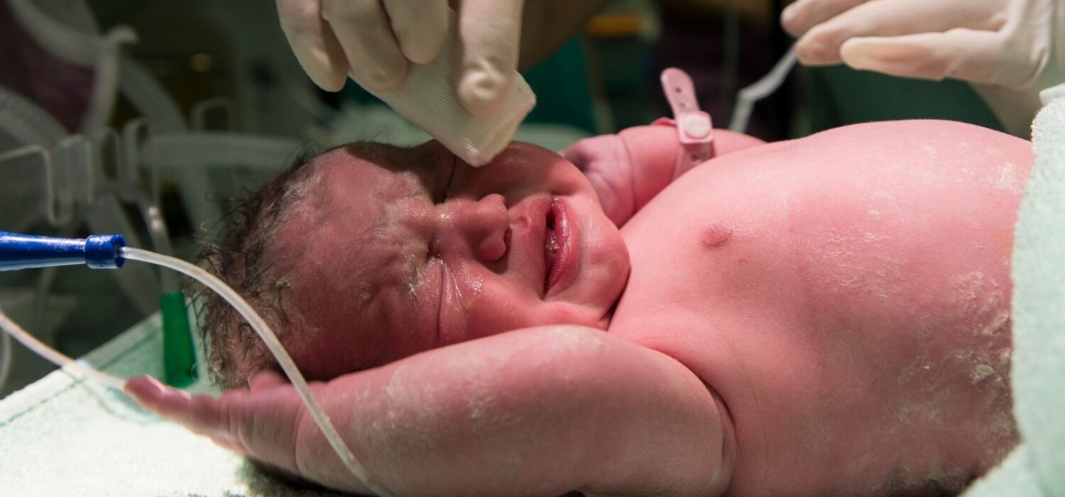 incubadora en bebes