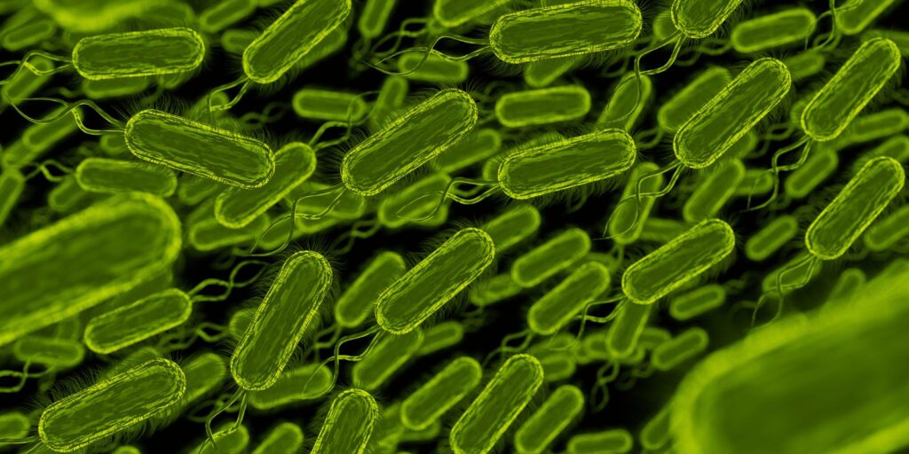 Toxina bacteriana infantil, posible causa de cáncer colorrectal en adultos jóvenes