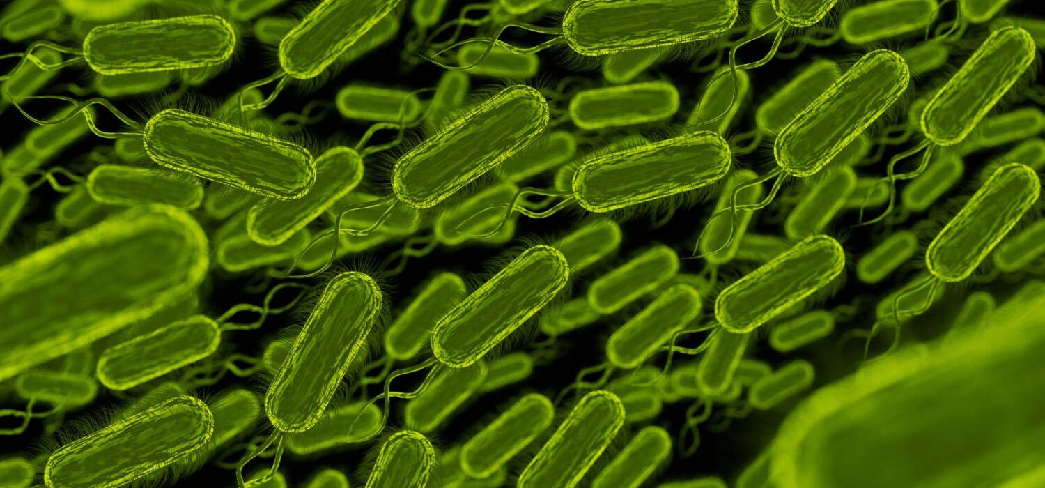 Toxina bacteriana en la infancia podría explicar el aumento de cáncer colorrectal en adultos jóvenes