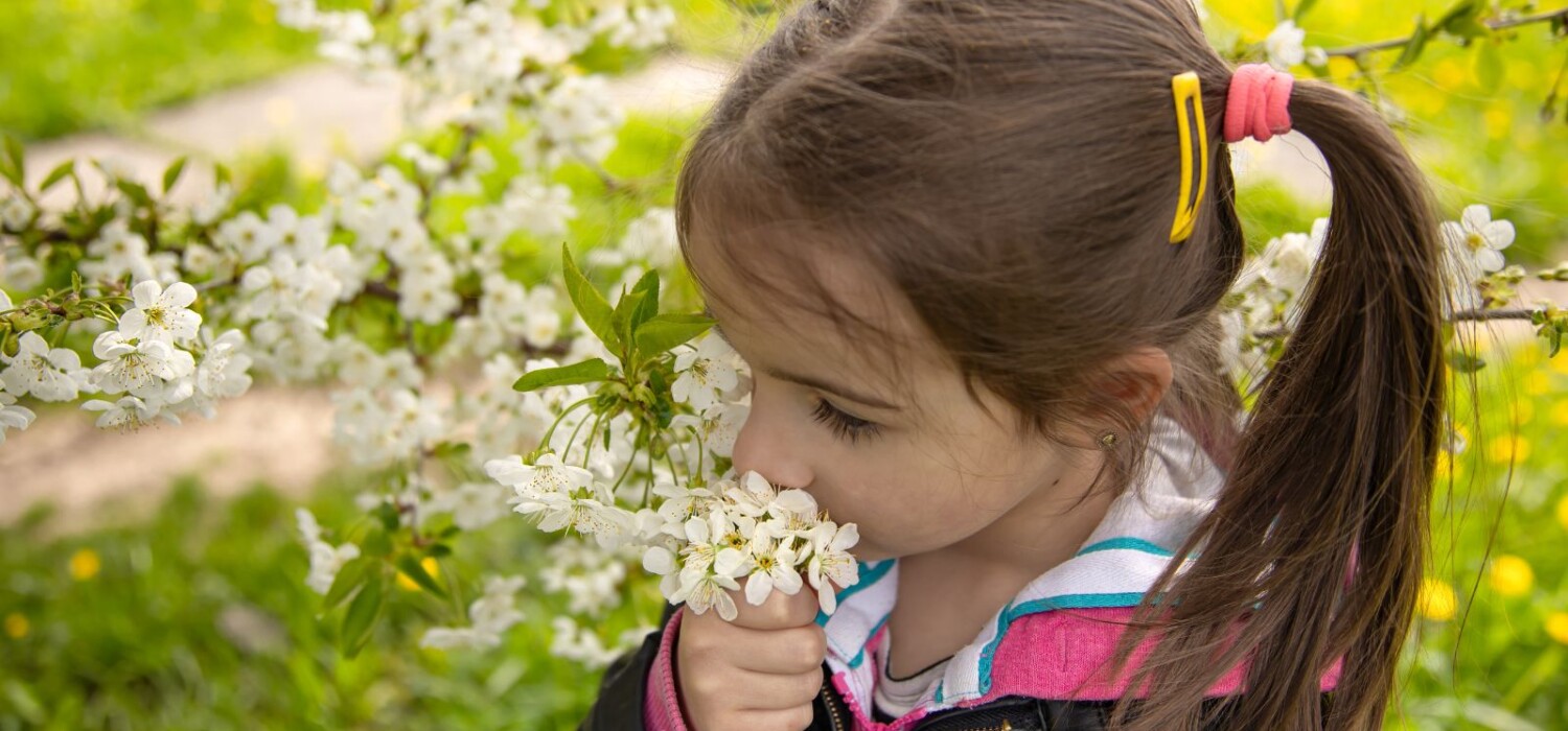 enfermedades de primavera