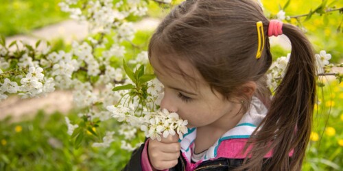 Enfermedades comunes en primavera en niños: cuáles son y cómo prevenirlas
