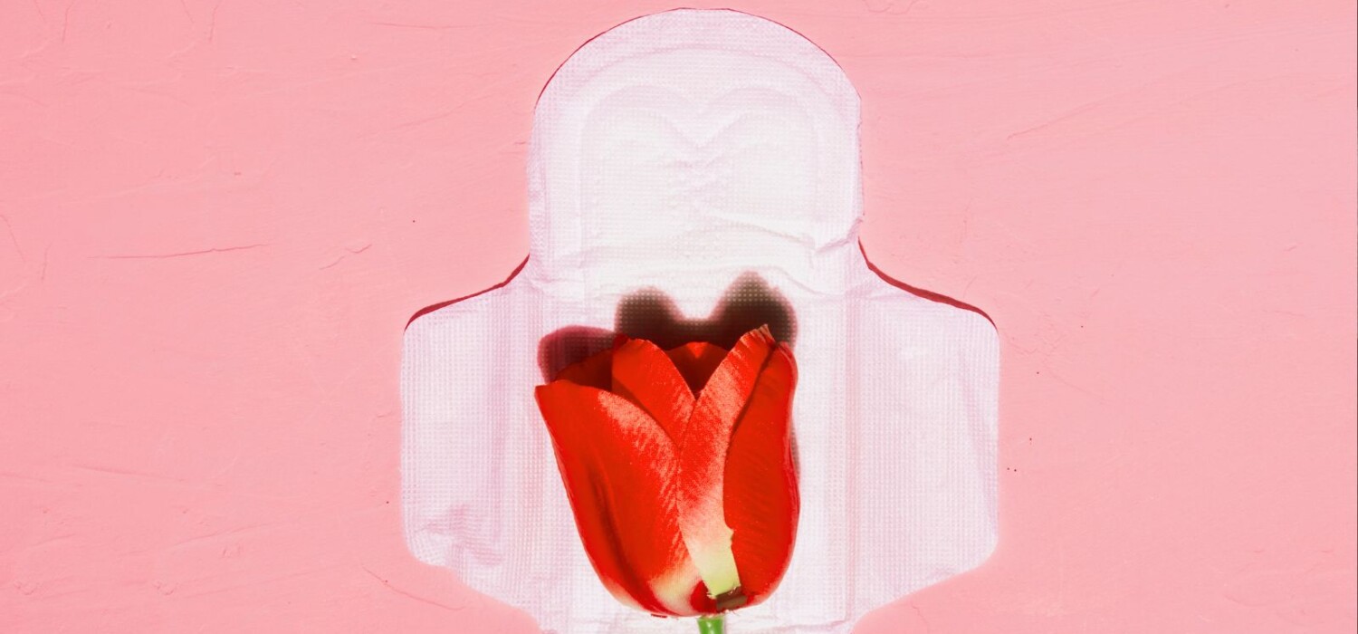 menstruacion despues del embarazo