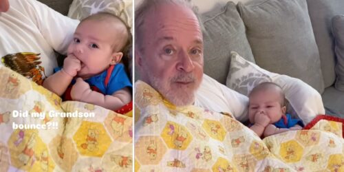 La voz original de Winnie Pooh ahora calma a su nieto… ¡locura total!