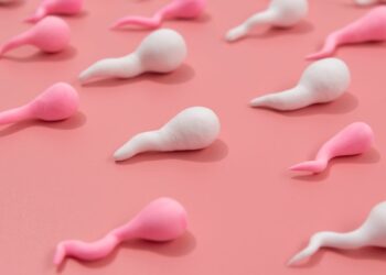 ¿Qué es la espermaquia? Si vives con adolescentes ¡toma nota!