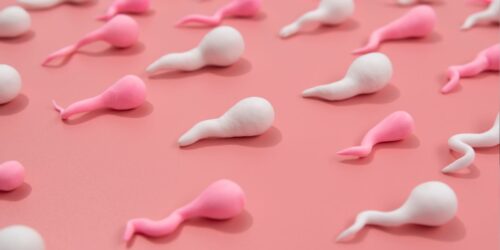 ¿Qué es la espermaquia? Si vives con adolescentes ¡toma nota!
